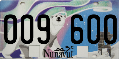 NU license plate 009600