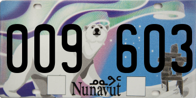 NU license plate 009603