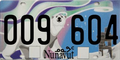 NU license plate 009604