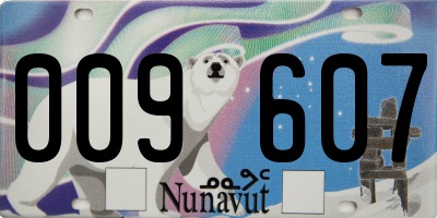 NU license plate 009607