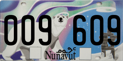 NU license plate 009609