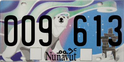 NU license plate 009613