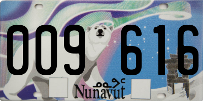 NU license plate 009616