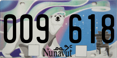 NU license plate 009618