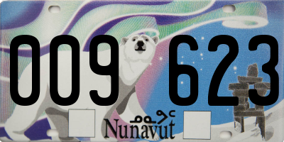 NU license plate 009623