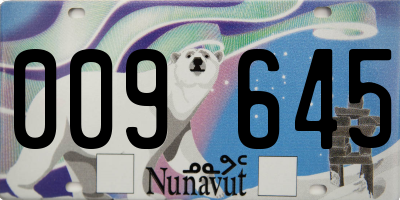 NU license plate 009645