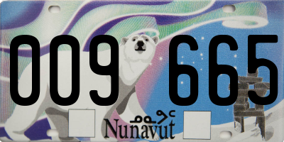 NU license plate 009665