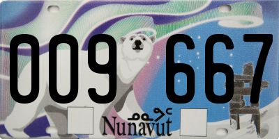 NU license plate 009667