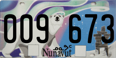 NU license plate 009673