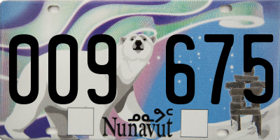 NU license plate 009675