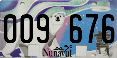 NU license plate 009676