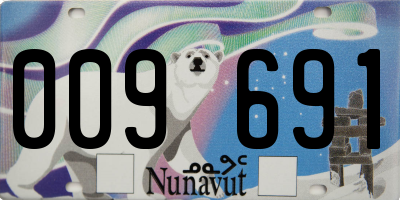 NU license plate 009691