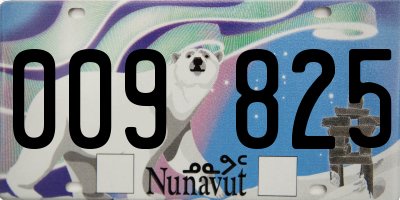 NU license plate 009825