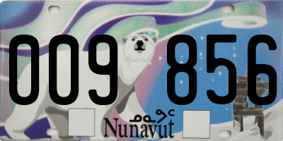 NU license plate 009856