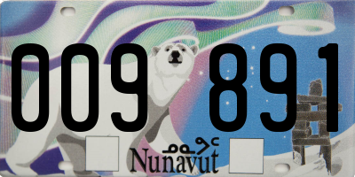 NU license plate 009891