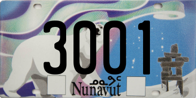 NU license plate 3001