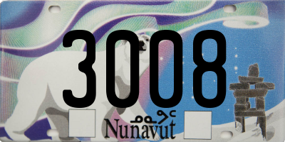 NU license plate 3008