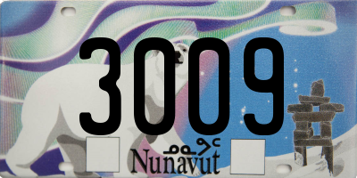 NU license plate 3009