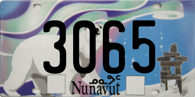 NU license plate 3065