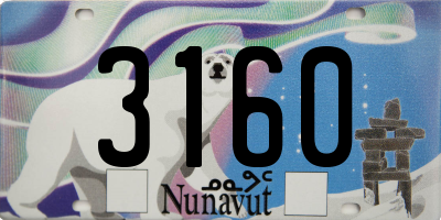 NU license plate 3160