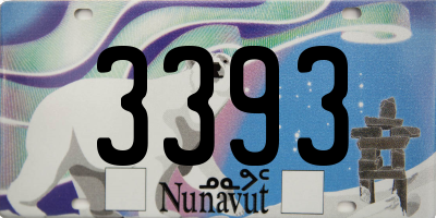 NU license plate 3393