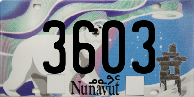 NU license plate 3603