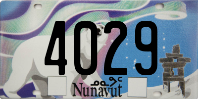 NU license plate 4029