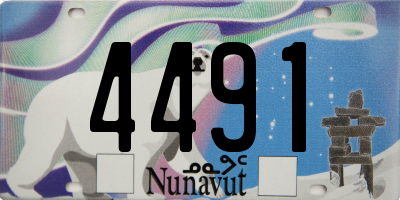 NU license plate 4491