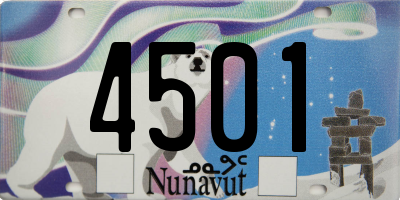 NU license plate 4501