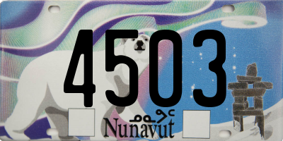 NU license plate 4503