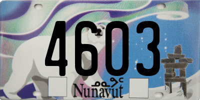 NU license plate 4603