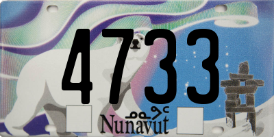 NU license plate 4733