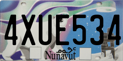 NU license plate 4XUE534