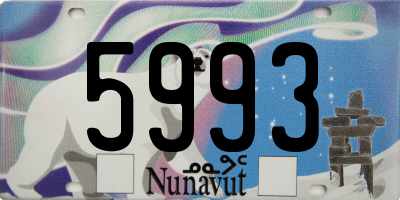 NU license plate 5993