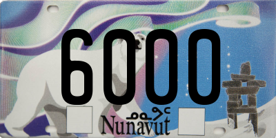 NU license plate 6000