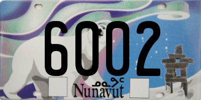 NU license plate 6002