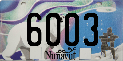 NU license plate 6003