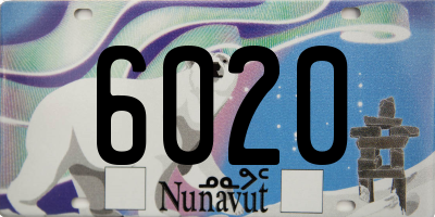 NU license plate 6020