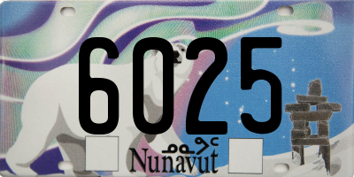 NU license plate 6025