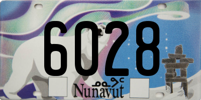 NU license plate 6028