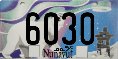 NU license plate 6030