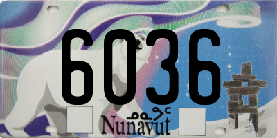 NU license plate 6036