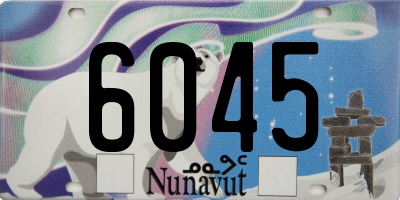 NU license plate 6045