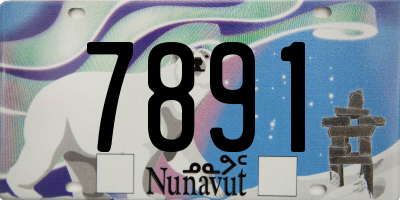 NU license plate 7891