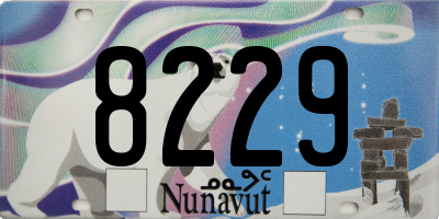 NU license plate 8229