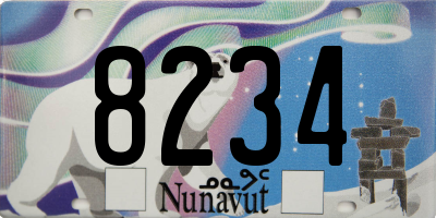 NU license plate 8234