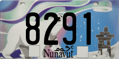 NU license plate 8291