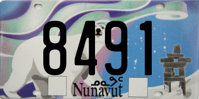 NU license plate 8491