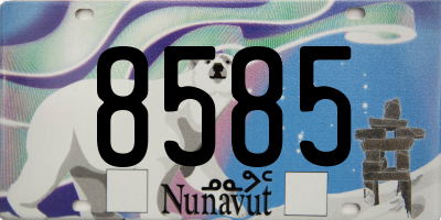 NU license plate 8585