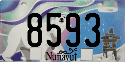 NU license plate 8593